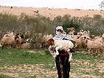 Mount Ararat nomadic Kurdish sheep herder photo